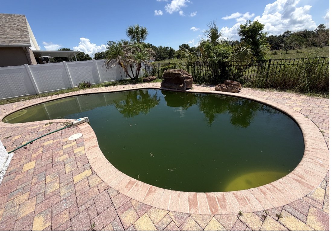Green algae pool before Crystalline Pools service in Tampa Bay